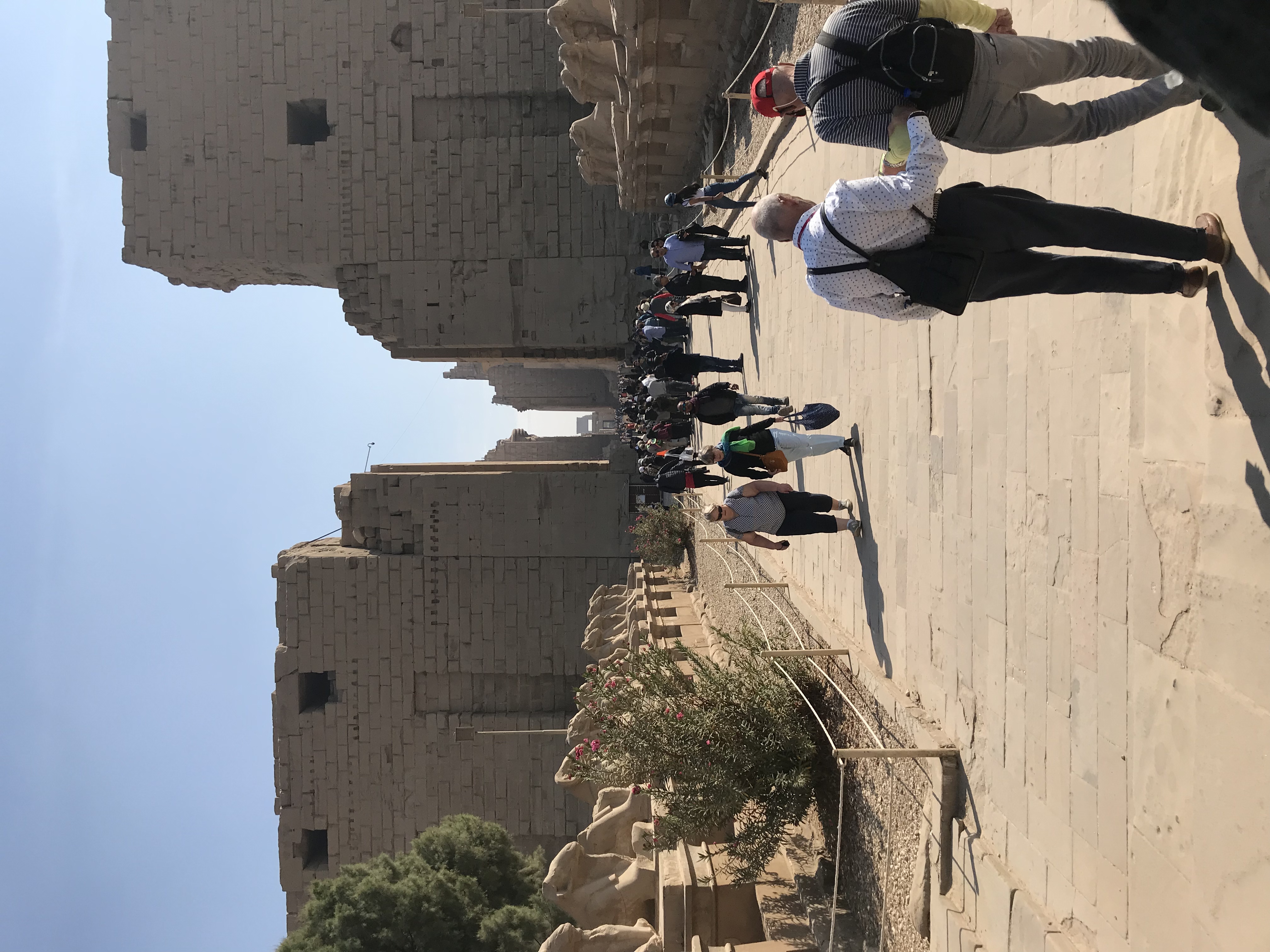 ./2018/16 - Egypt/04 - Luxor Day 1/IMG_1204.jpg